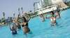 Lilly Land Beach Club 